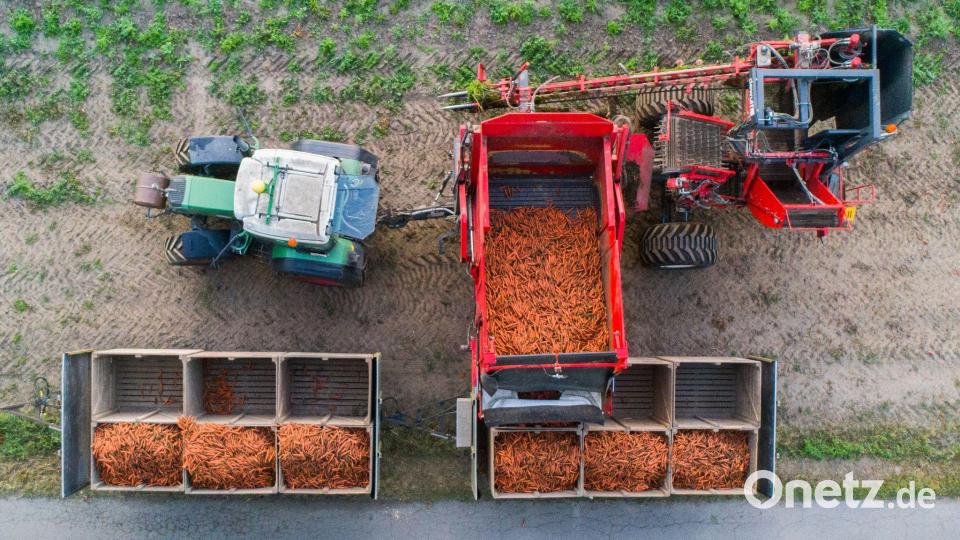 Der Öko-Anteil an der Agrarfläche wächst nur sehr langsam. (Archivbild) Bild: Julian Stratenschulte/dpa
