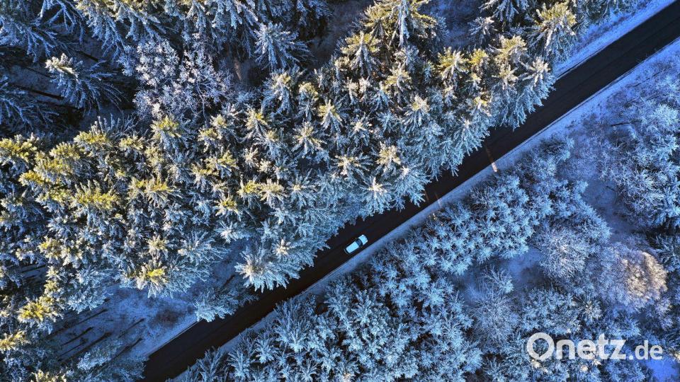 Raureif auf Nadelwald Bild: Karl-Josef Hildenbrand/dpa
