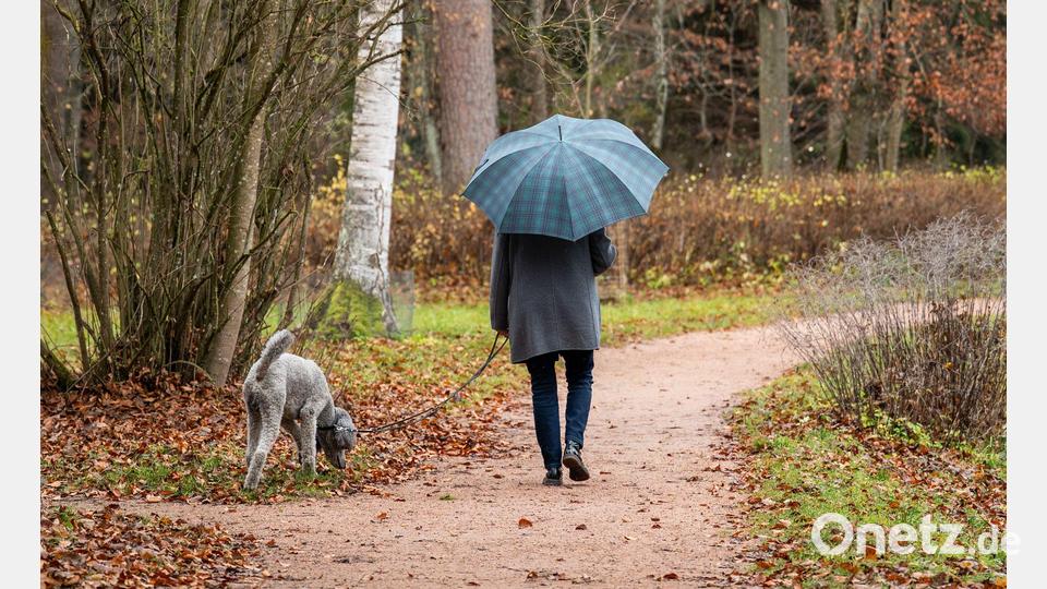Weniger Stress steht auch weit oben bei den Plänen für das kommende Jahr. (Symbolbild) Bild: Silas Stein/dpa