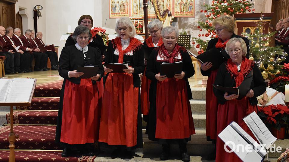 Der Frauenchor des Oberpfälzer Waldvereins Tirschenreuth sang unter Akkordeonbegleitung von Viktor Ehlscheidt. Bild: ubb