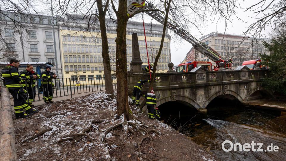 Ein Kran baut die Rampe ab. Bild: Peter Kneffel/dpa
