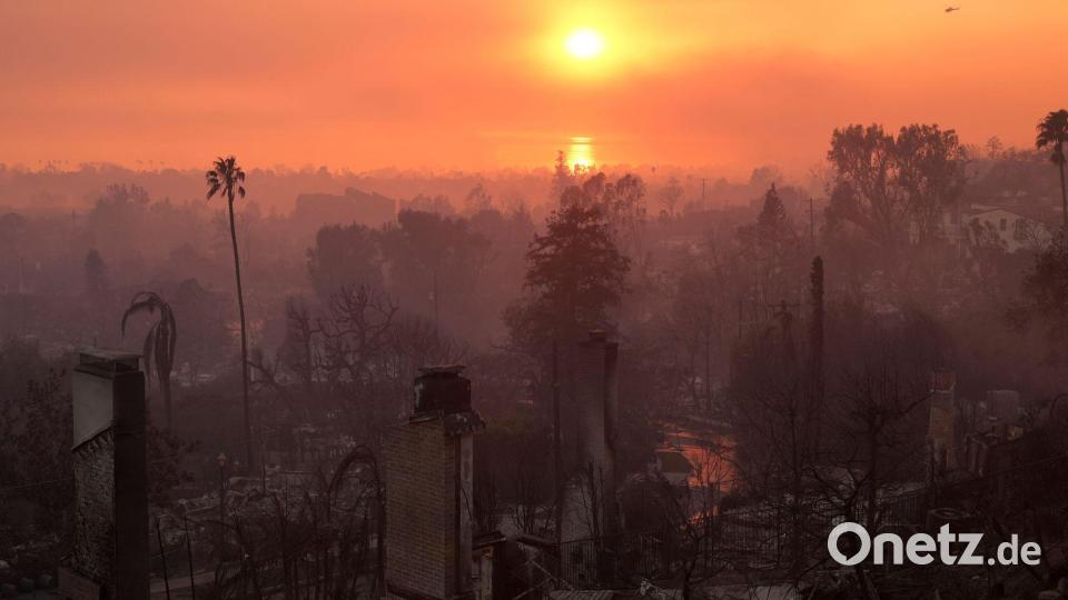 Die Verwüstung durch das Palisades-Feuer in Los Angeles. (Archivbild) Bild: Jae C. Hong/AP/dpa