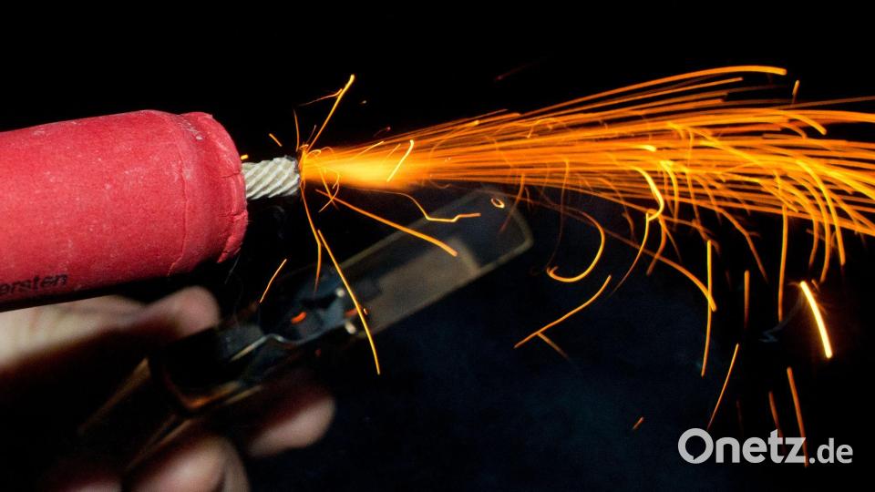 Genaue Zahlen dazu, wie viele Tiere in der Silvesternacht in panischer Flucht verletzt werden oder sterben, gibt es nicht. (Archivbild) Bild: Patrick Pleul/dpa-Zentralbild/dpa