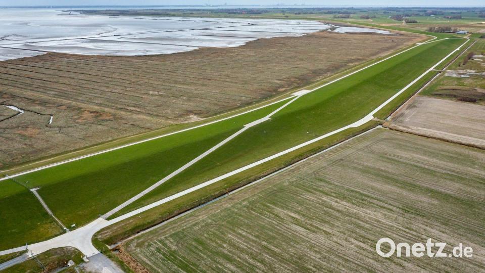 Einige Wissenschaftler appellieren an die Politik, auch einen Rückzug aus tiefer gelegenen Küstenregionen zu erwägen. (Archivbild) Bild: Sina Schuldt/dpa