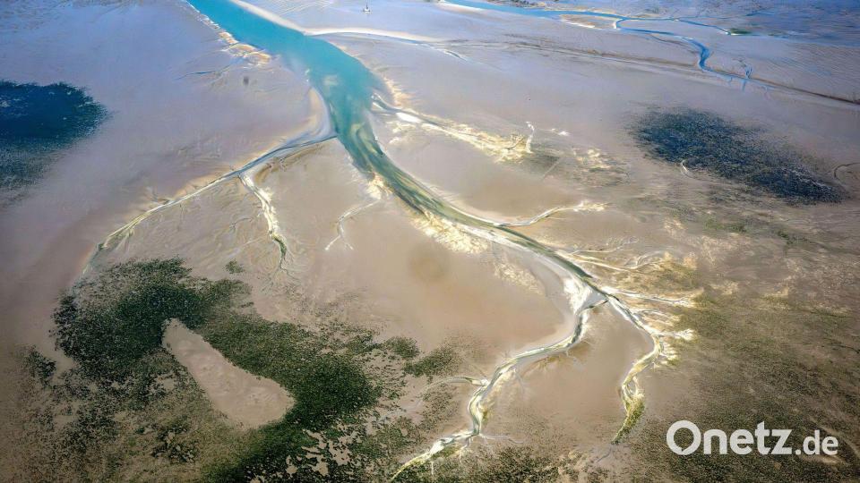 Die Situation im Wattenmeer ist einer Studie zufolge ernster als bisher angenommen. (Archivbild) Bild: Sina Schuldt/dpa