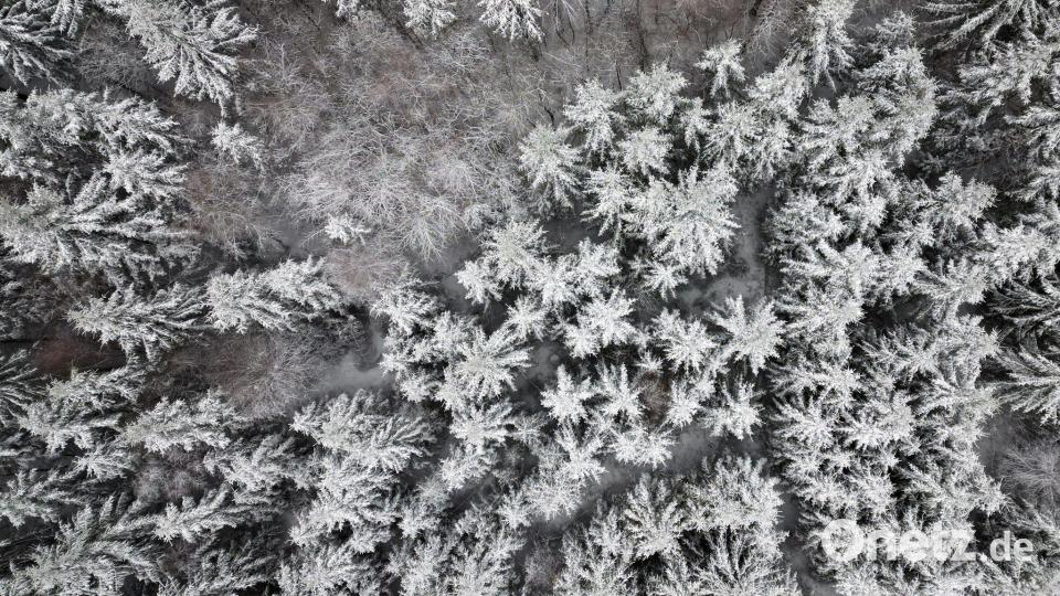 Schnee liegt auf den Bäumen in Oberhundem. Bild: Federico Gambarini/dpa