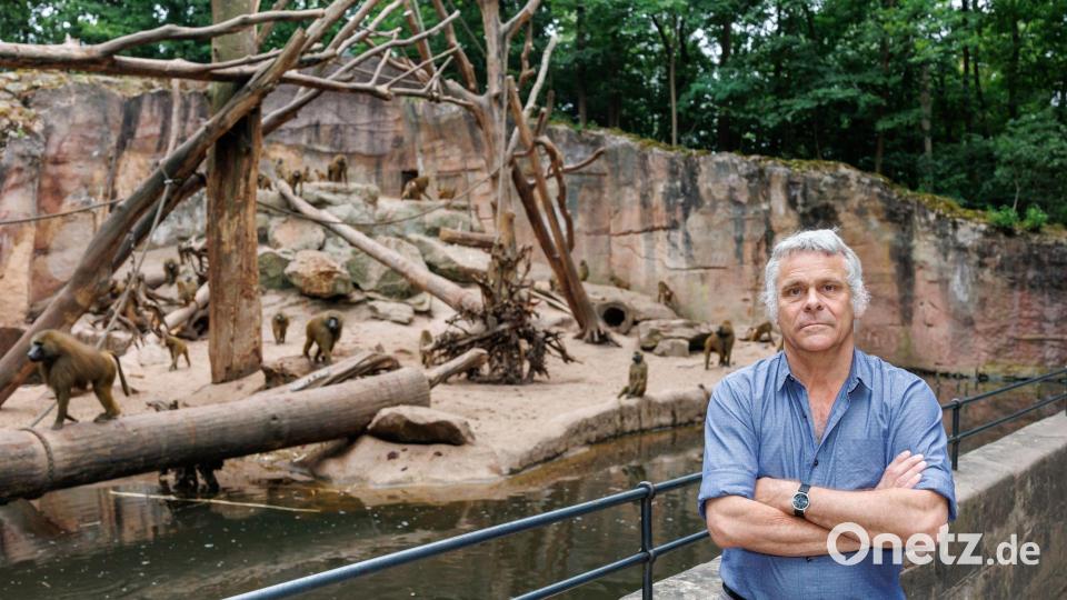 Es gab auch konkrete Drohungen gegen den Tiergartendirektor Dag Encke (Archivbild). Bild: Daniel Karmann/dpa