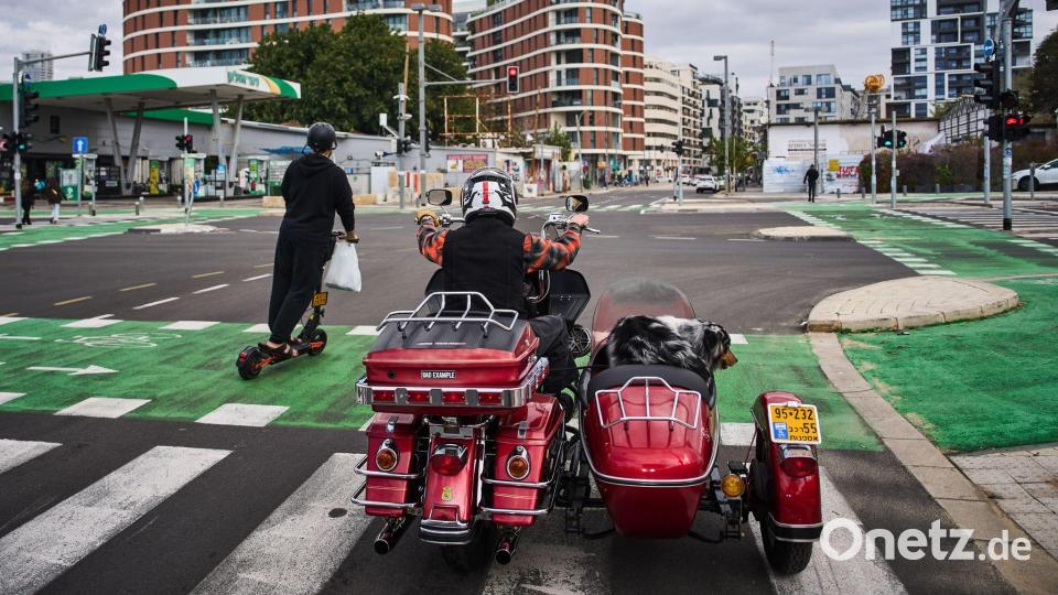 Ein Mann fährt auf seinem Motorrad mit seinem Hund in Tel Aviv, Israel. Bild: Oded Balilty/AP/dpa