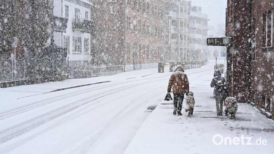 "Gassi gehen" im Schnee: Hunde und ihre Besitzer sind in Leer unterwegs. Bild: Lars Penning/dpa
