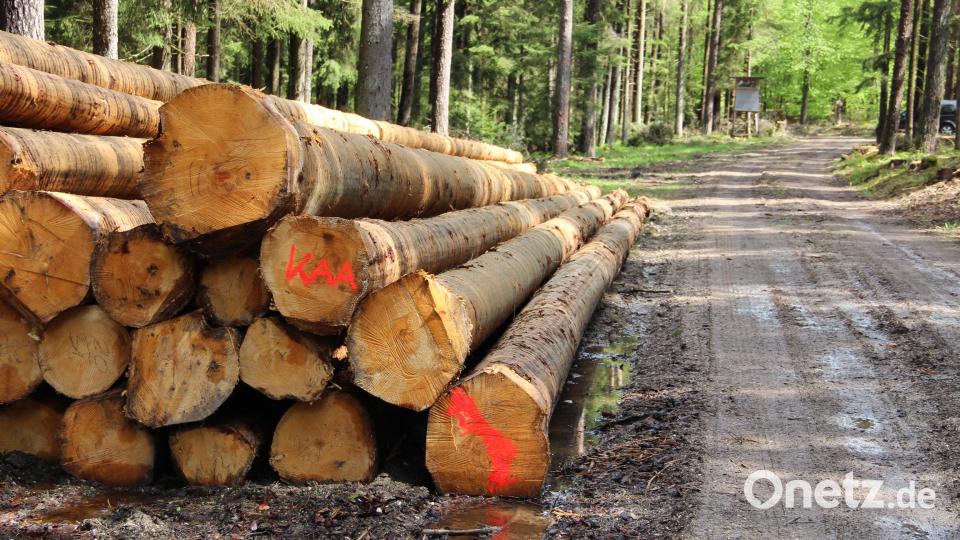 Die Versorgungslage beim Rundholz ist laut FBG Neustadt-Nord derzeit angespannt. Archivbild: upl