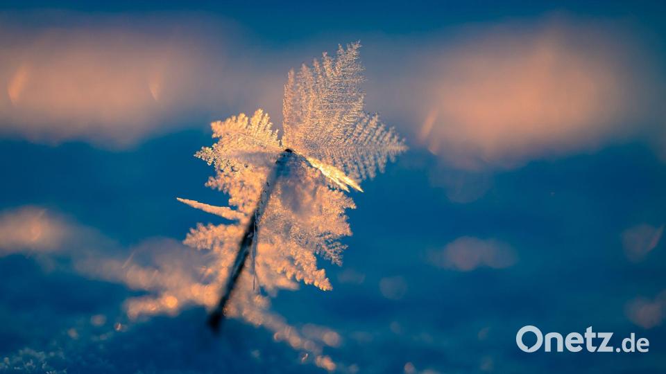 Zauberhafter Wintermorgen bei Eiseskälte. Bild: Patrick Pleul/dpa