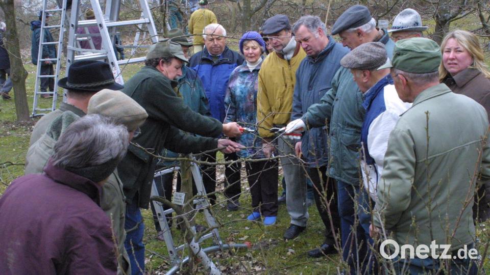 Die Gartenpflegervereinigung eröffnet die Kurssaison im März wieder mit Lehrgängen für Obstbaum- und Sträucherschnitt. Archivbild: Hirsch