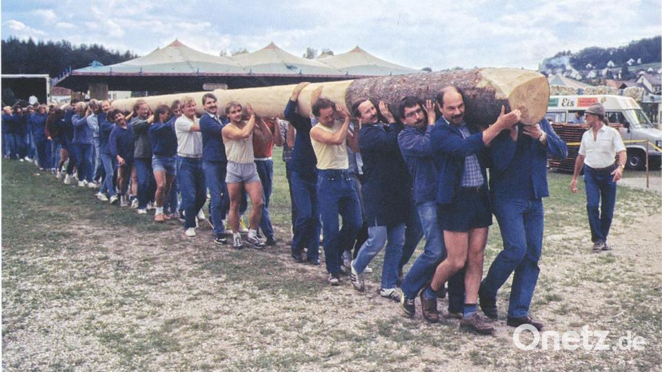 Auf diesem Foto wird der Kirwabaum wird von den Raigeringer Kirwaburschen eingeholt. Archivbild: Max Paulus jun.