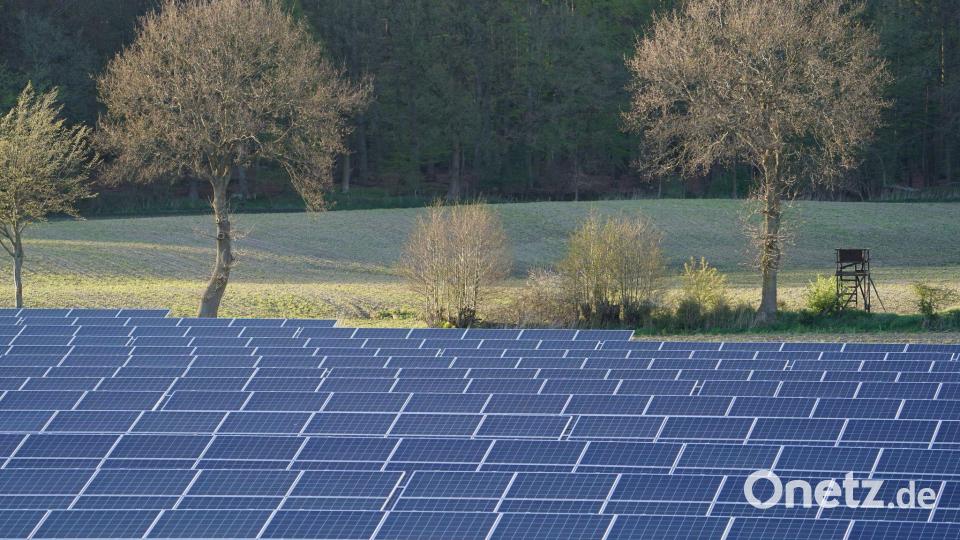In Deutschland werden immer mehr Solaranlagen gebaut. (Archivbild) Bild: Marcus Brandt/dpa