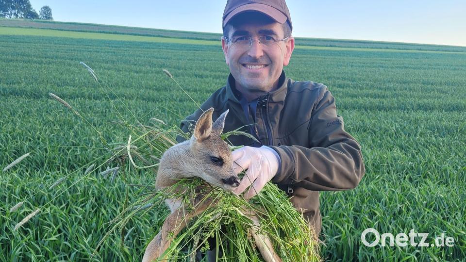 Jäger Günter Süß rettet ein Rehkitz vor der Wiesen-Mahd nach Auffinden durch eine Drohne. Bild: Andrea Süß