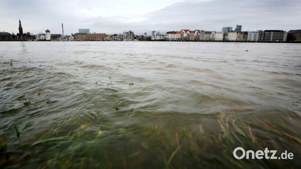 Im Rhein schwimmt mehr Müll als angenommen. (Archivbild). Bild: Martin Gerten/dpa