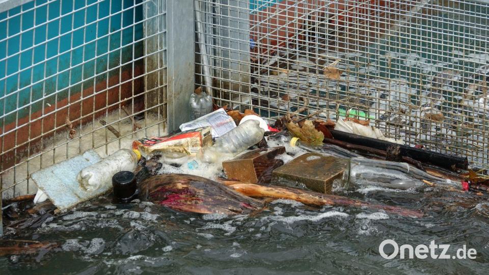 Müll hat sich in den beiden Körben der Müllfalle „RheinKrake“ verfangen. (Handout) Bild: Leandra Hamann/Nature/dpa