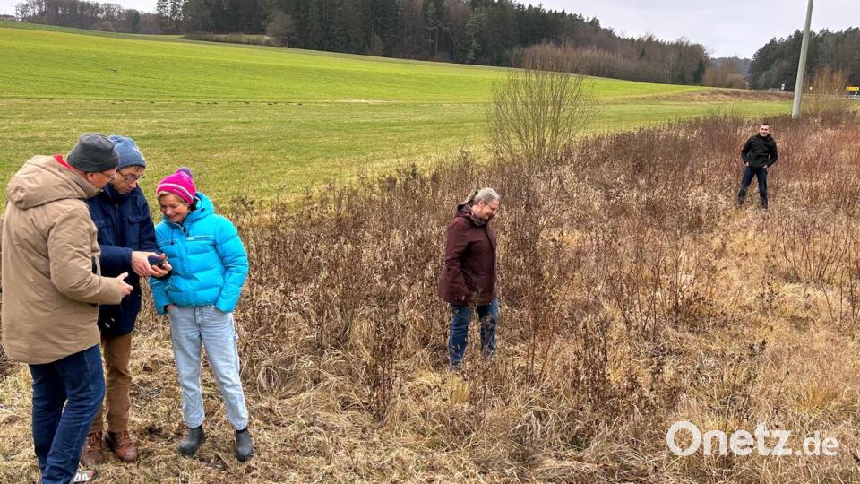 Auf dieser mit rund 0,2 ha sehr kleinen Ausgleichsfläche bei Kummerthal soll sich ein Moor entwickeln. Bild: Martin Kunert