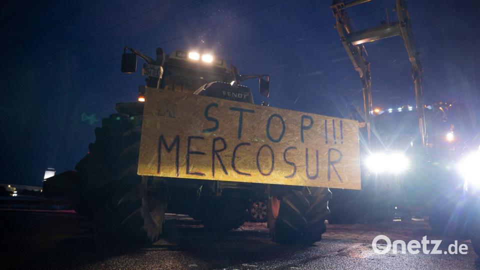 Landwirte befürchten unverhältnismäßige Konkurrenz durch günstige Importe aus Südamerika. Bild: Philip Dulian/dpa