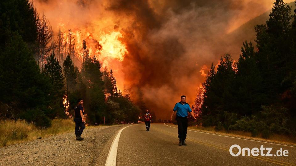 Feuerwehrleute gehen auf einer Straße während eines Waldbrandes in Argentinien. Bild: Maxi Jonas/AP/dpa