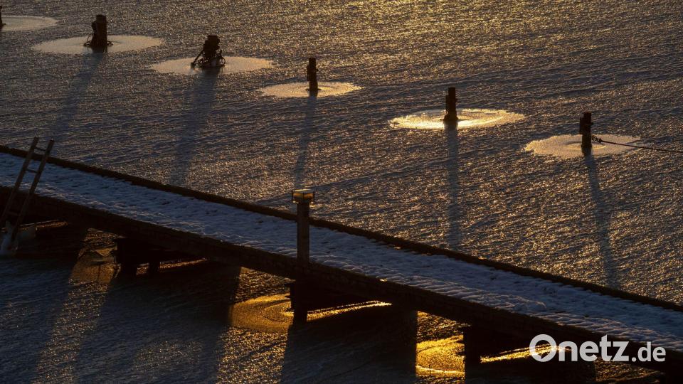Keine Boote im zugefrorenen Anglerhafen. Bild: Stefan Sauer/dpa