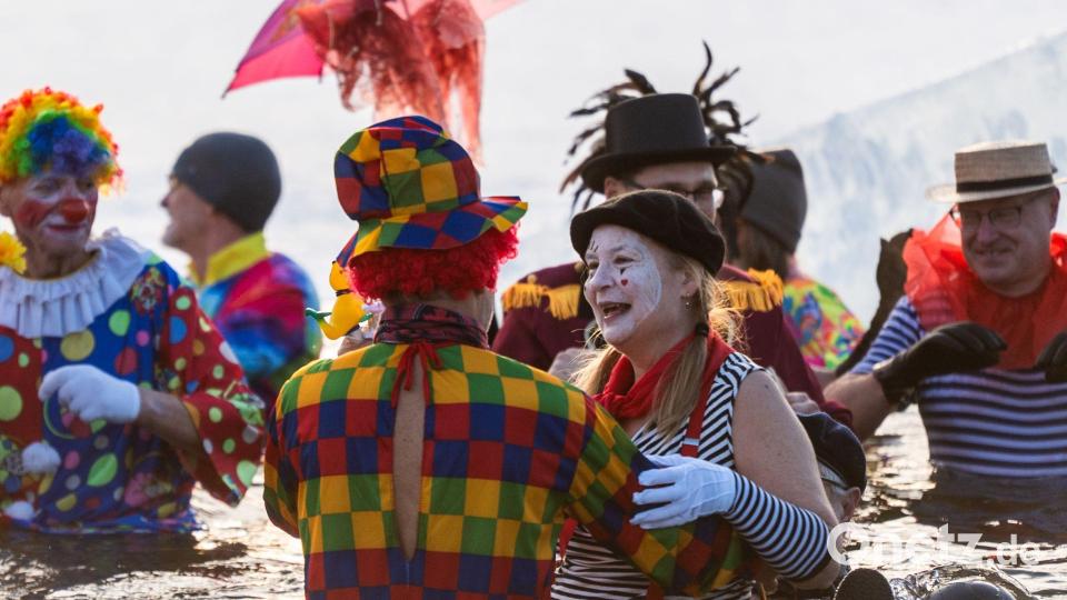 Berliner Seehunde gehen baden. Bild: Christophe Gateau/dpa