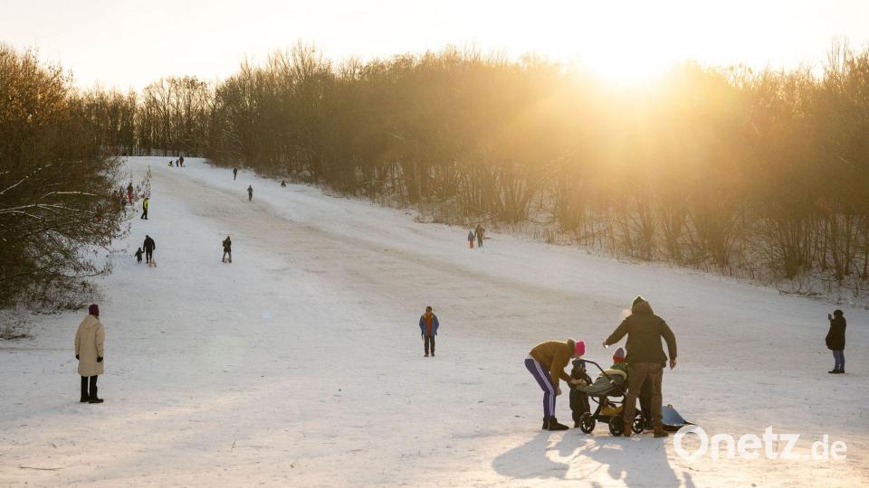 Das Winterwetter hat auch schöne Seiten - wie hier am Teufelsberg in Berlin. Bild: Christophe Gateau/dpa