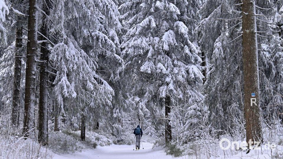 Manche genießen den Winterspaziergang, doch für andere ist die anhaltende Kälte eine enorme Belastung. Bild: Martin Schutt/dpa