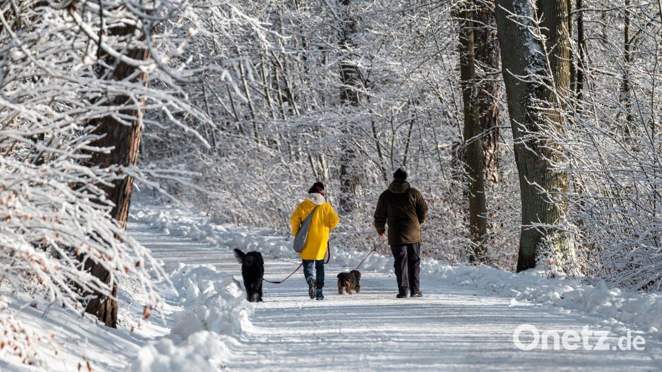 In Coburg liegen die Höchstwerte bei minus 7 Grad. Bild: Daniel Vogl/dpa