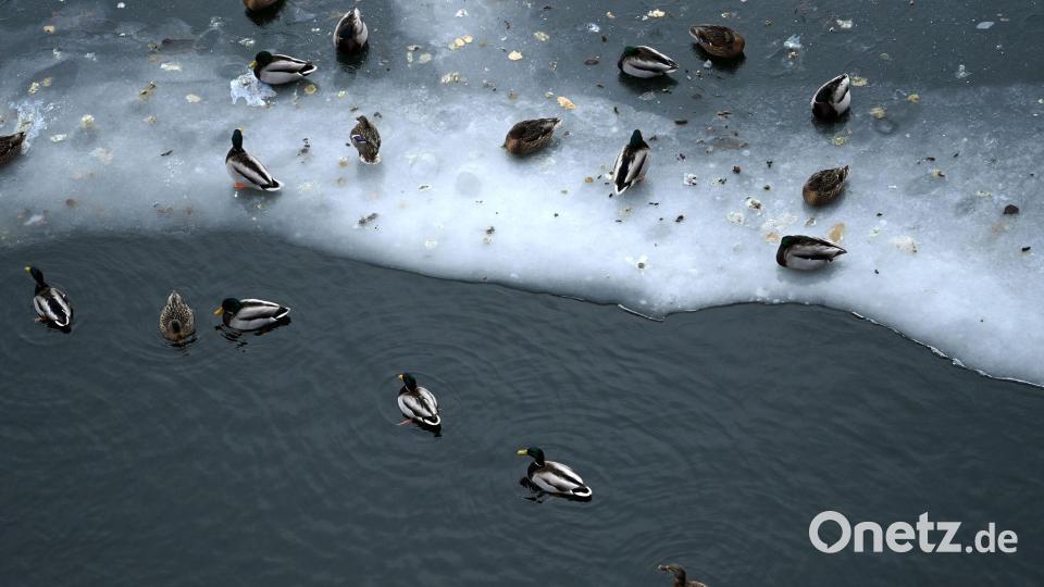 Nun steht vor allem dem Osten Deutschlands Glatteis-Gefahr bevor. Bild: Elisa Schu/dpa