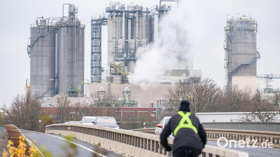 Die Chemiebranche ist besonders energieintensiv (Archivbild) Bild: Benjamin Westhoff/dpa
