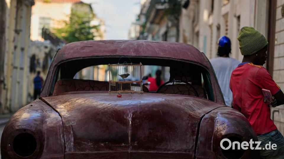 Ein Vogel in einem Käfig steht in Havanna zum Verkauf auf der Motorhaube. Bild: Ramon Espinosa/AP/dpa