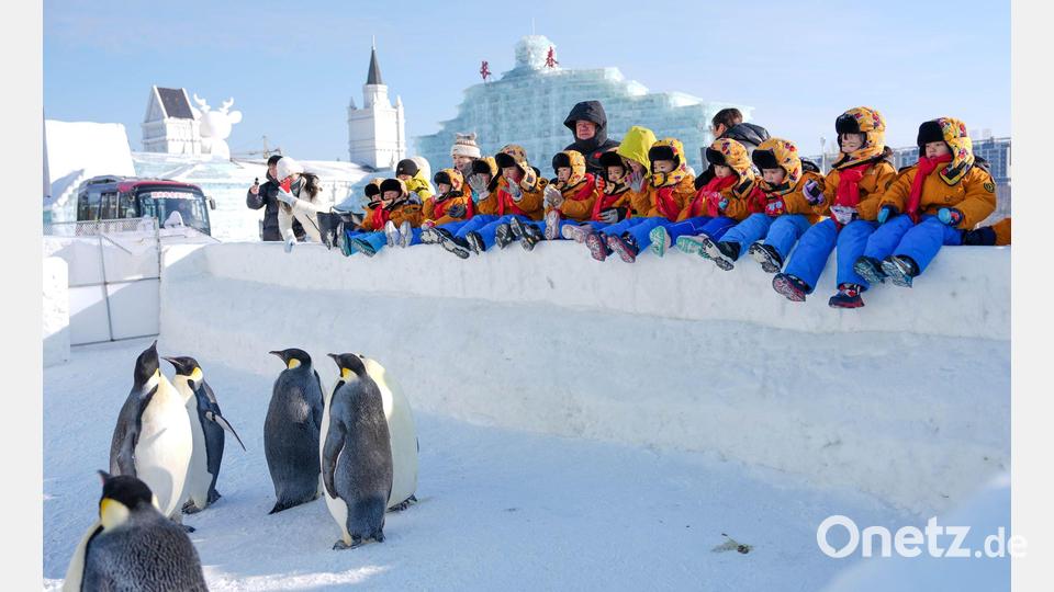 Kinder beobachten Pinguine in der Changchun Ice and Snow New World in Changchun. Bild: Yan Linyun/XinHua/dpa