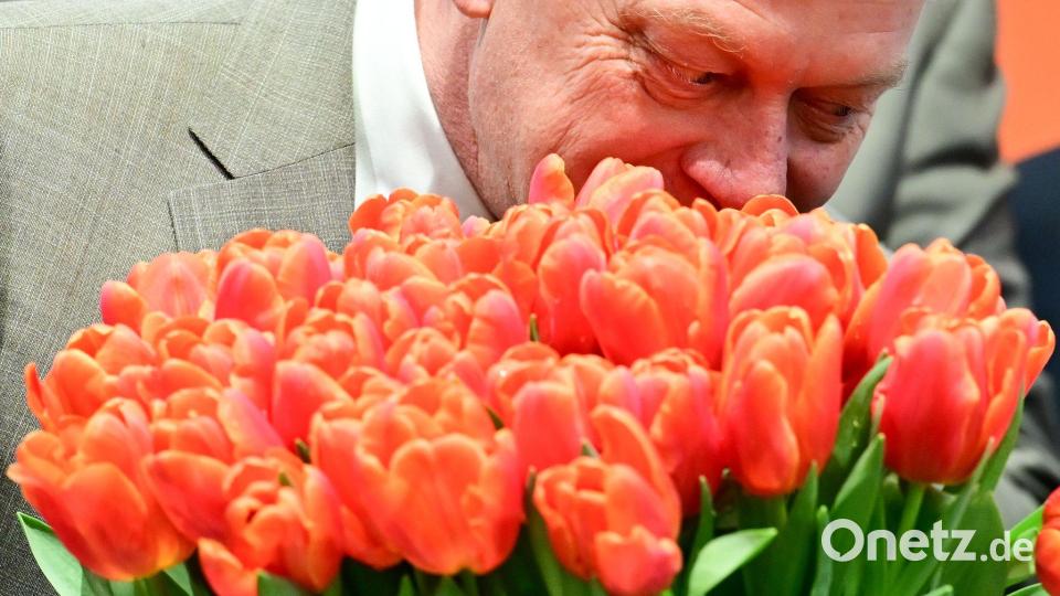 Zum Auftakt der Grünen Woche: Minister Rainer riecht an niederländischen Tulpen Bild: Sebastian Christoph Gollnow/dpa