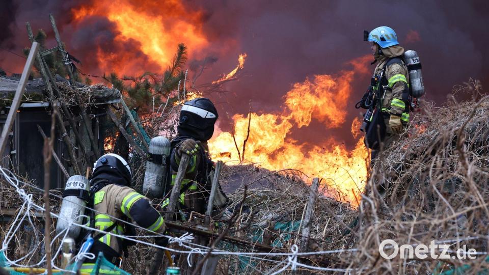 Über 1.200 Einsatzkräfte waren gegen die Flammen im Einsatz. Bild: Choi Jin-seok/Newsis/dpa