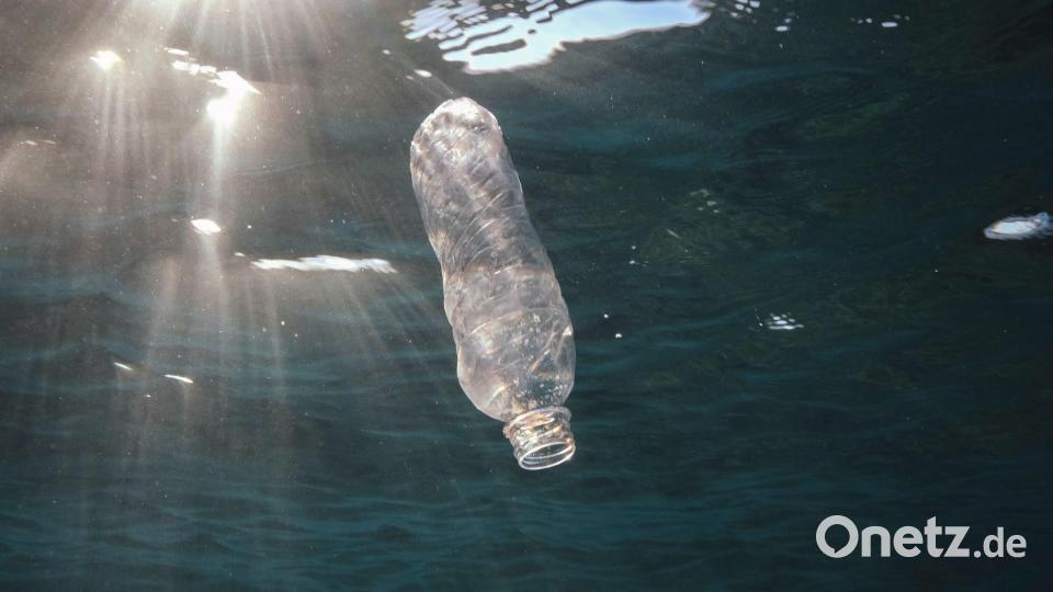 Vorgesehen sind auch Umweltverträglichkeitsprüfungen vor der Genehmigung von Eingriffen und Aktivitäten. (Archivbild) Bild: Andrey Nekrasov/ZUMA Press Wire/dpa