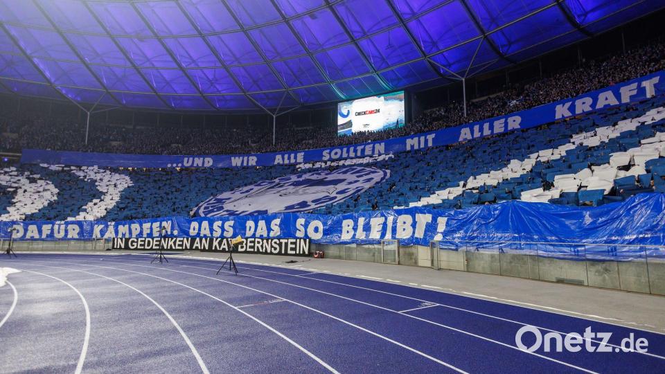 Die Fans von Hertha BSC und Schalke 04 protestieren gegen Polizeiaktionen. Bild: Andreas Gora/dpa
