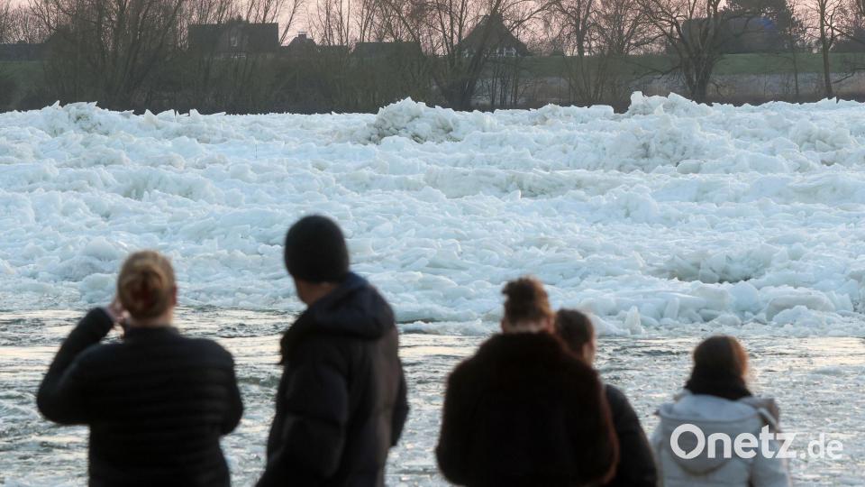 Eisschollen auf der Elbe Bild: Bodo Marks/dpa