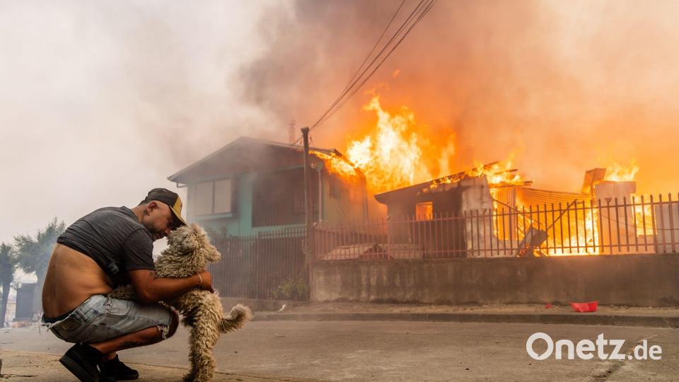 Waldbrände in Chile Bild: Javier Torres/AP/dpa
