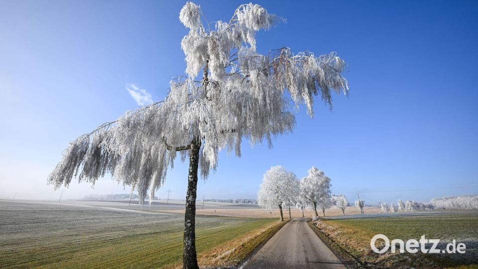Wintertraum: Raureif bei strahlendem Sonnenschein Bild: Marius Bulling/onw-images/dpa