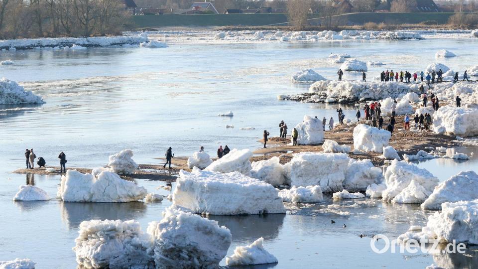 Eisberge auf der Elbe Bild: Bodo Marks/dpa