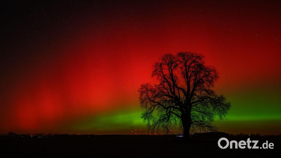 Polarlichter leuchten am Nachthimmel über der Landschaft im östlichen Brandenburg. Bild: Patrick Pleul/dpa