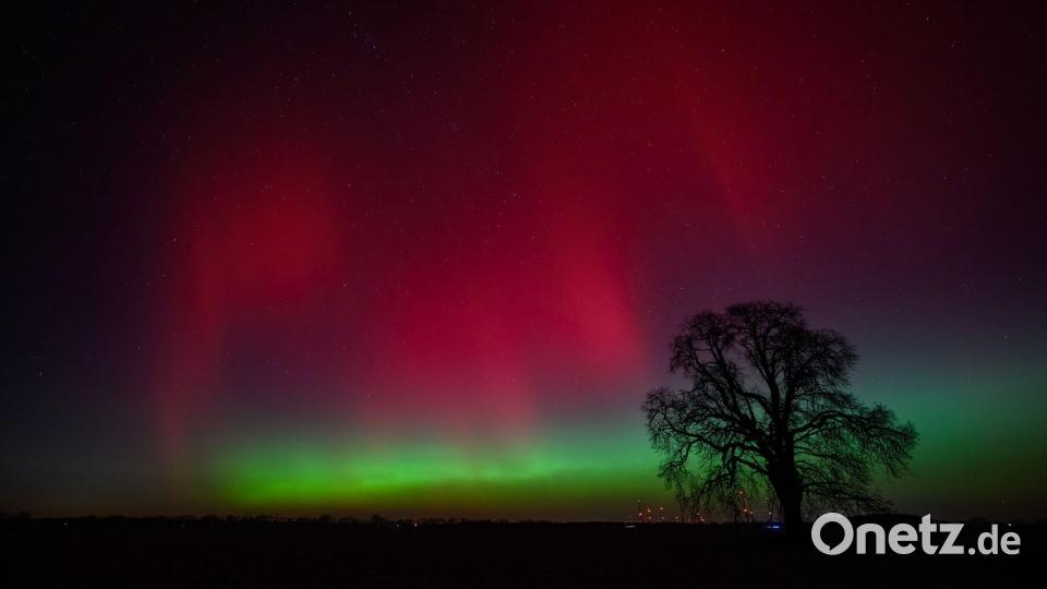 Polarlichter leuchten am Nachthimmel über der Landschaft im östlichen Brandenburg. Bild: Patrick Pleul/dpa