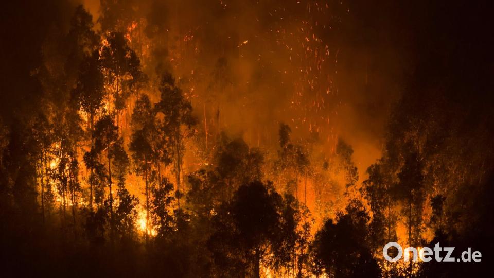 Waldbrände lodern in der Nähe von Concepcion in Chile. Bild: Javier Torres/AP/dpa