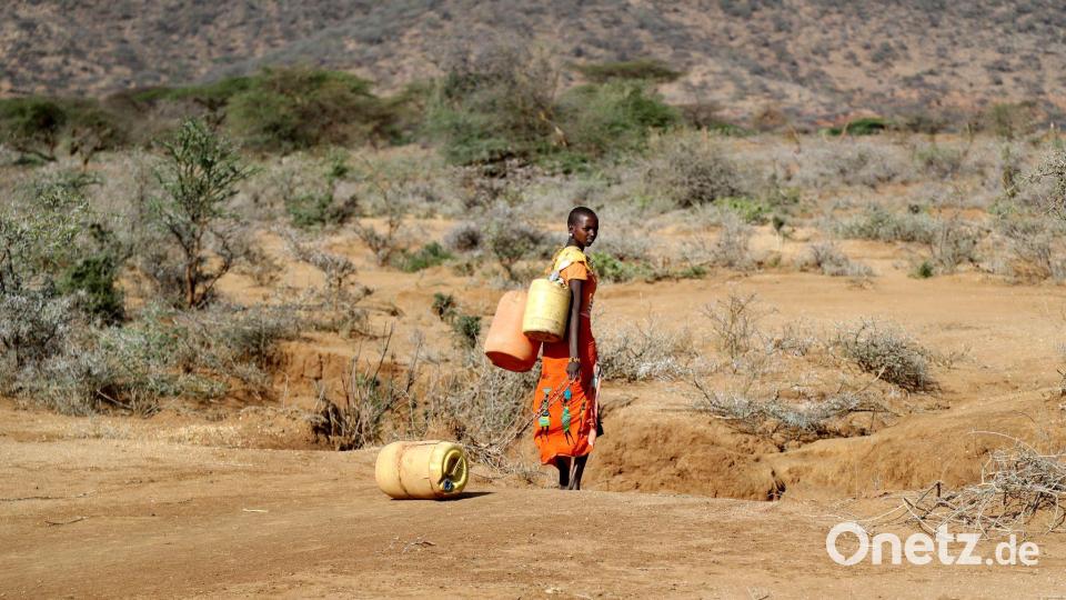 Rund drei Viertel der Menschheit leben in Ländern, die als wasserunsicher oder kritisch wasserunsicher gelten. Bild: Brian Inganga/AP/dpa
