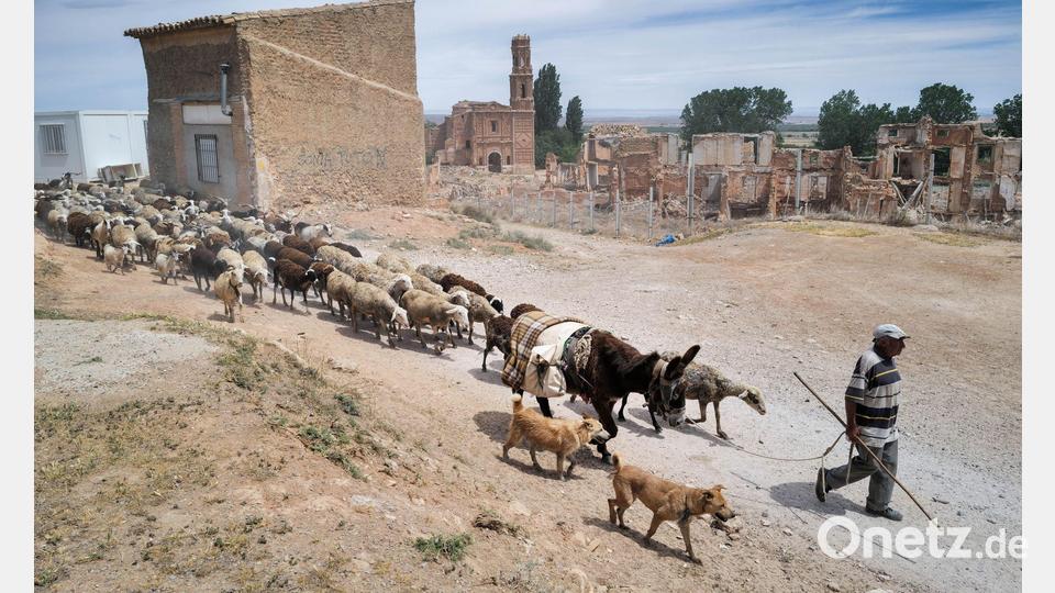 Forscher empfehlen etwa strengeren Schutz von Feuchtgebieten, Begrenzung der Grundwasserentnahme und den Umbau wasserintensiver Wirtschaftssektoren. Bild: Fabián Simón/EUROPA PRESS/dpa