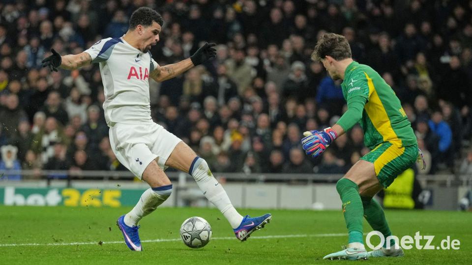 Tottenhams Dominic Solanke erzielte das 2:0 für die Spurs per Stolpertor. Bild: Kin Cheung/AP/dpa