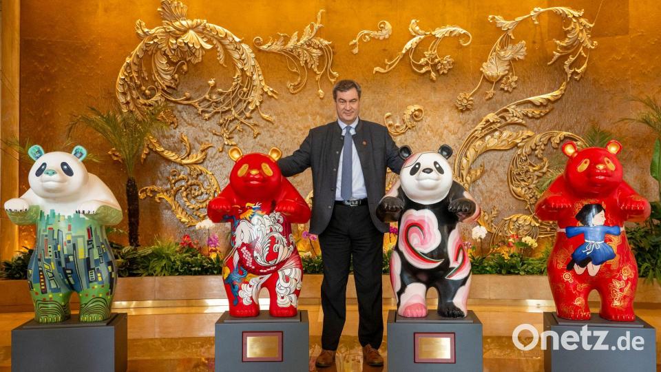 Erfüllt sich Söder mit zwei Riesenpandas für den Münchner Tierpark einen Traum? (Archivbild) Bild: Peter Kneffel/dpa
