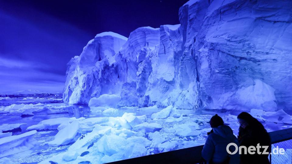 Die eisige und faszinierende Welt der Antarktis wird als 360-Grad-Bild gezeigt Bild: Jan Woitas/dpa