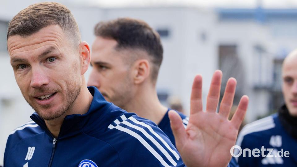 Edin Dzeko ist neu beim FC Schalke. Bild: Rolf Vennenbernd/dpa